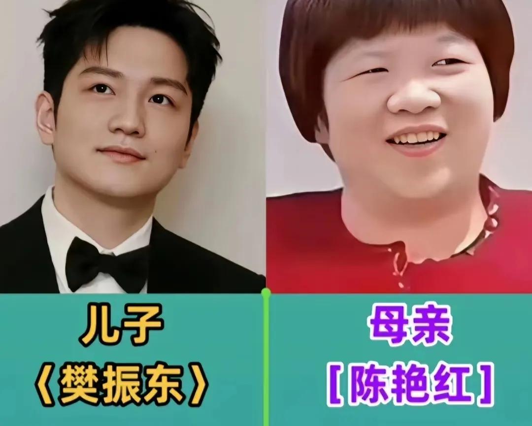 樊振东与母亲的合影。全红婵与母亲的合影。陈梦与母亲的合影。孙颖莎与母亲的合