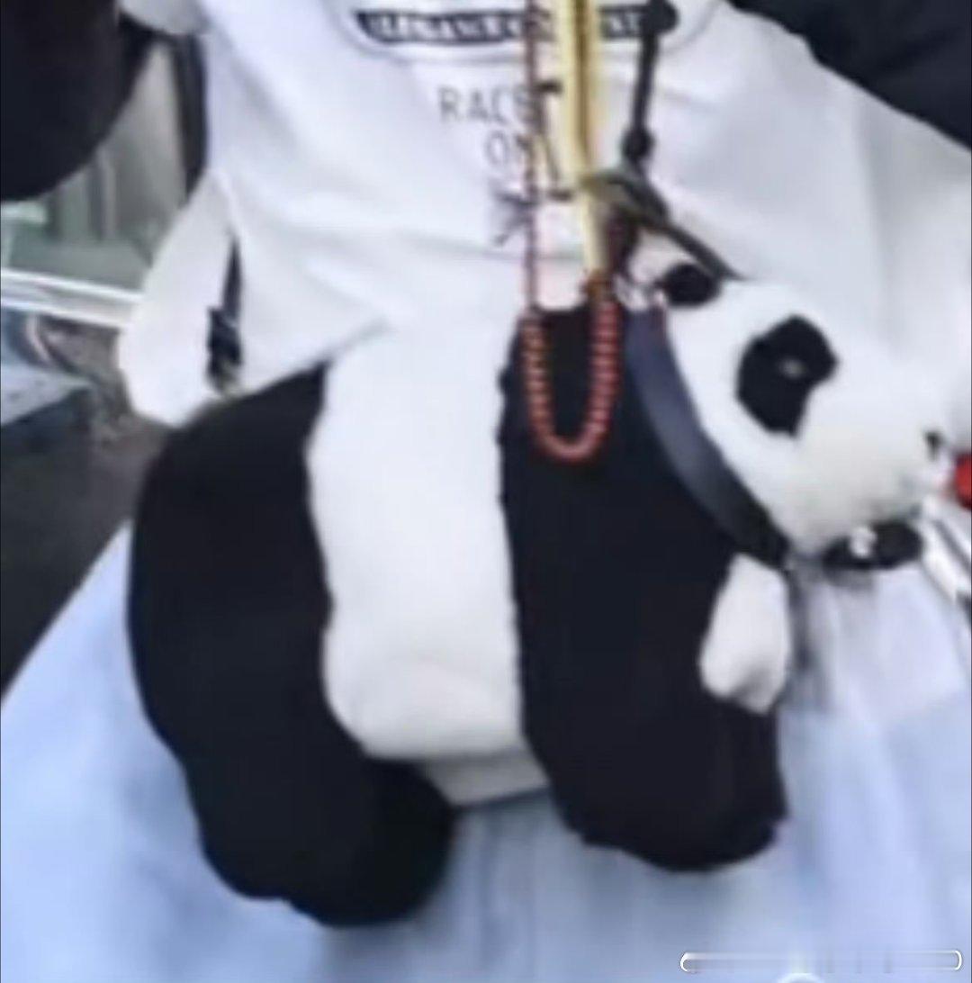 刘宇宁背了个熊猫包两个萌物！头发一如既往的炸但是挡不住我哥的帅气！背上小熊猫可