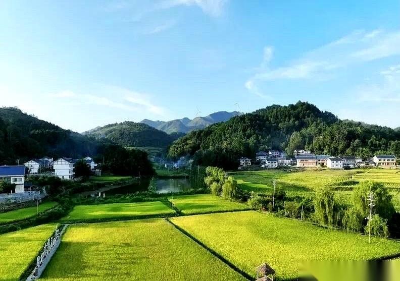 一辈子种地养活一个国家，到老了，一个月那点钱，还不够有些城里人一顿饭的开销。这