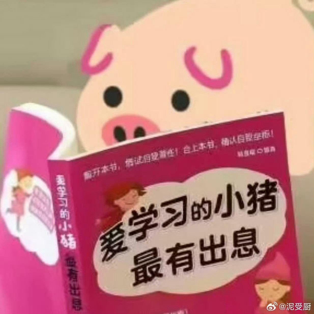 小心肝…不笨…不笨