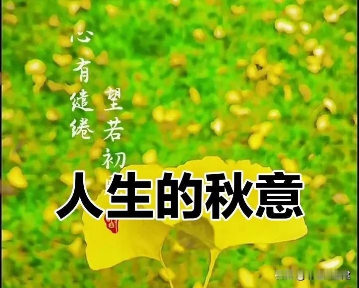 到了五十岁左右，所有朋友都会失去，男女都一样。生活越来越费劲，不同年龄段的都