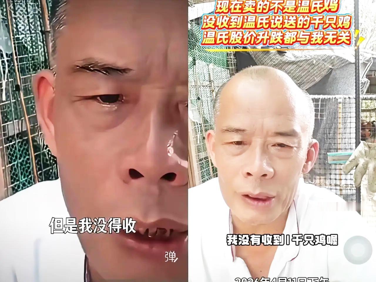 温氏赠鸡事件彻底翻车！说送一千只鸡导致该股票两天升9亿，结果莫叔却压根没收到