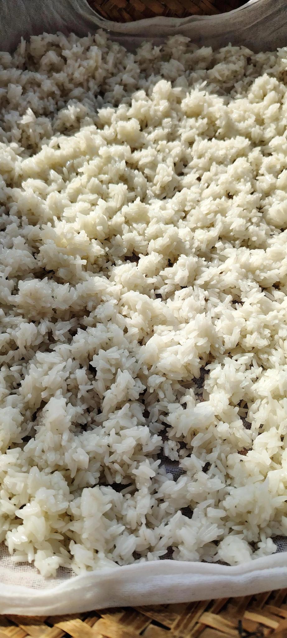 我今天办了件傻事。网上有一个人说，阴米就是长糯米蒸熟后，用冷水淘洗一下，再散开晒