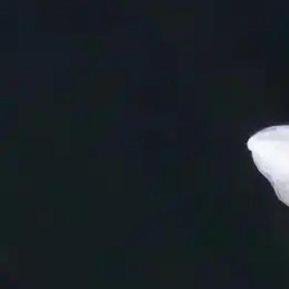 玉簪花🌸的种植方法：1、环境与土壤要求：喜充足散射光，忌强光直射，长期阴暗环境