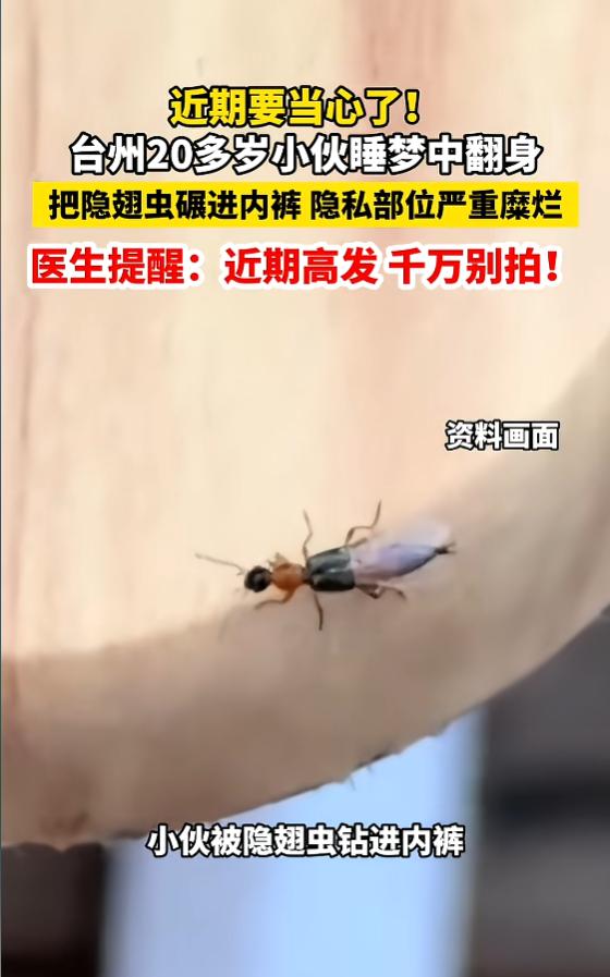 “悲剧还是发生了！”8月8日报道，浙江台州，一小伙睡觉时，没有关窗，隐翅虫因此钻