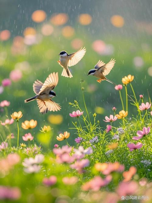 上联：鸟语花香春似画，下联：莺歌燕舞柳如诗，下联：天高云淡秋织锦。