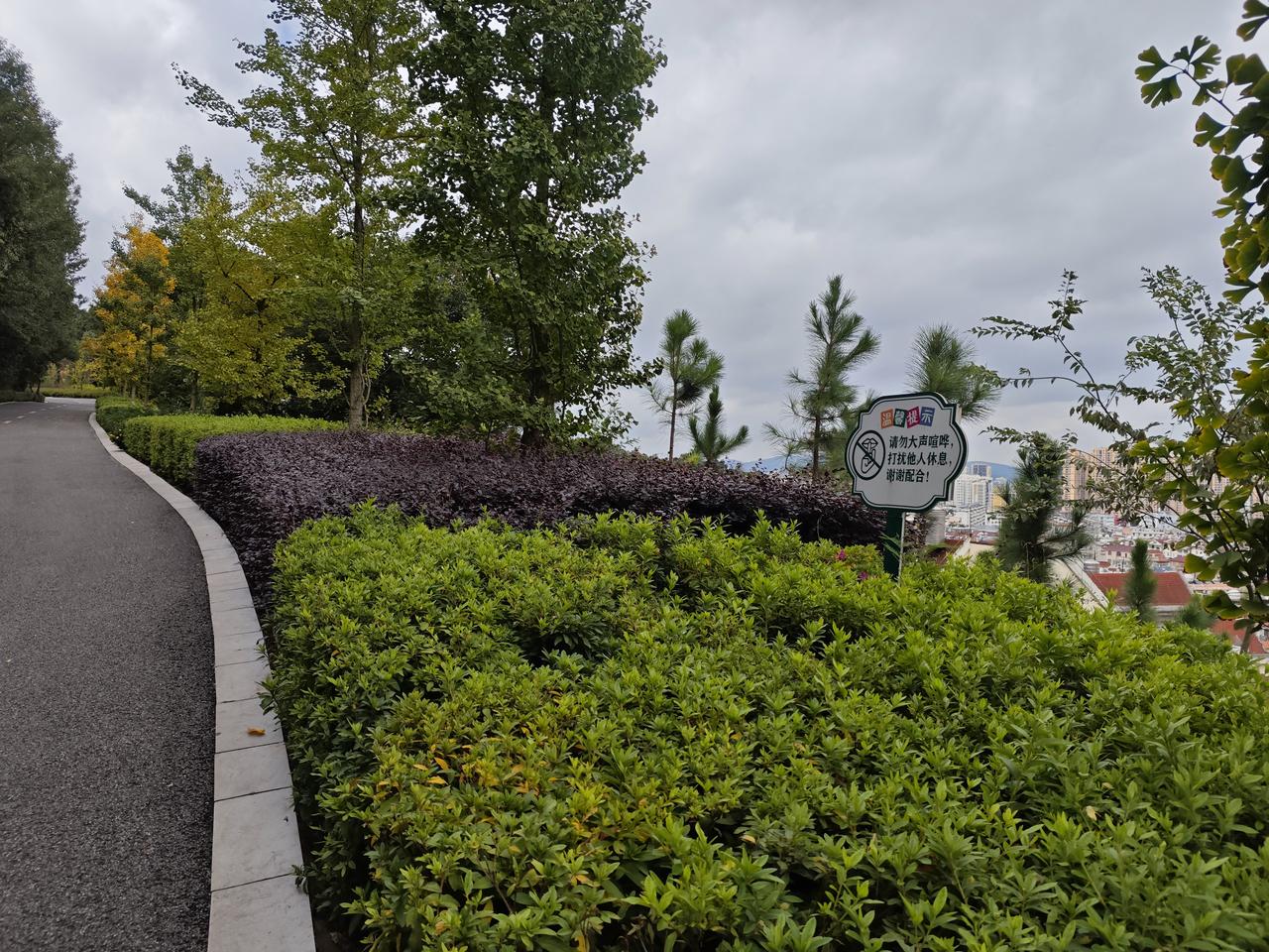 幸福是忙完一周能赖床到自然醒，窗外有阳光，桌上有热乎的早餐☕