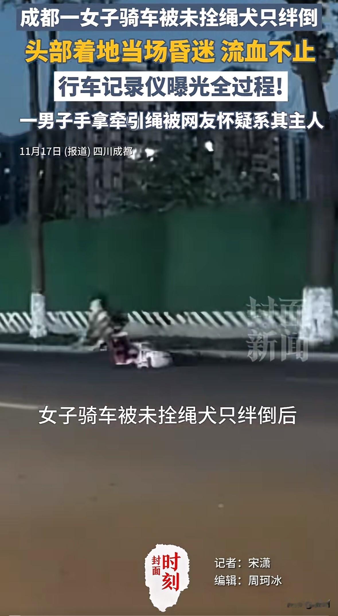 11月15日成都新都区，一名女生骑车时被突然窜出的未拴绳白色宠物狗绊倒，因没戴头