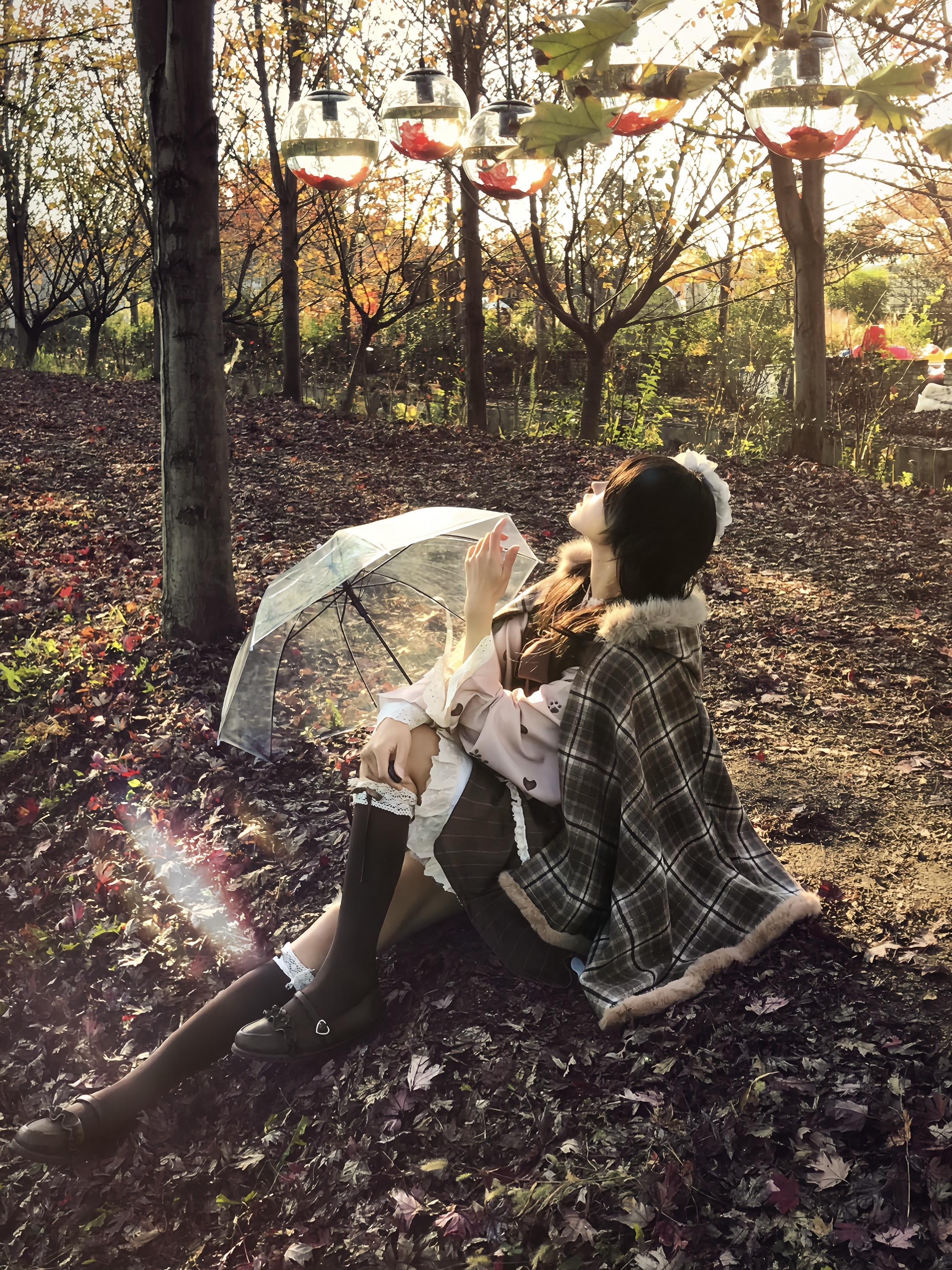 惆怅的枫叶 拍过我的肩.