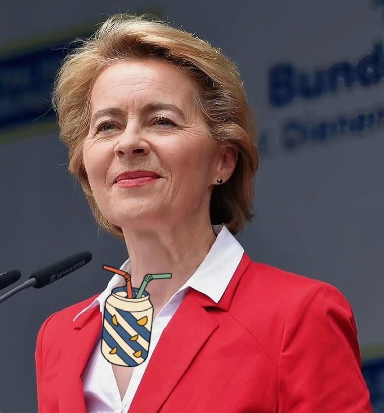 冯德莱恩疯了？2026年1月14日，冯德莱恩这回可是玩大的，张口就要发债筹集