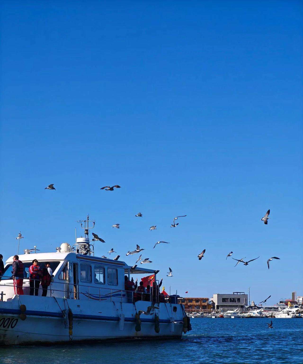 王某的孙子被自己家狗咬了，狂犬病去世，王某说，村长有责任。王某说，如果不是村长要