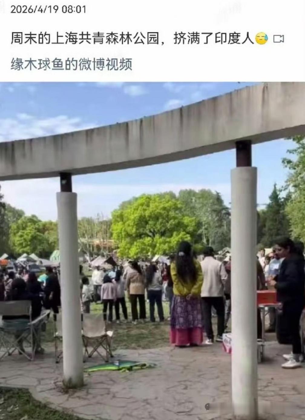 任何一个公司单位去雇佣印度人，都是在为中国的国家安全埋雷。印度殖民全世界的计划已