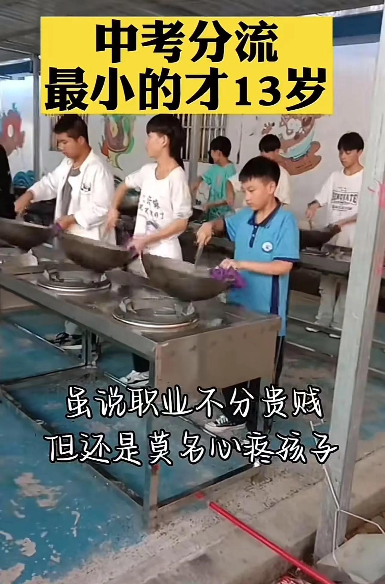 中考开始了，中考分流又引发了争议，争议的焦点就是孩子初三才十四五岁，完全处于一个