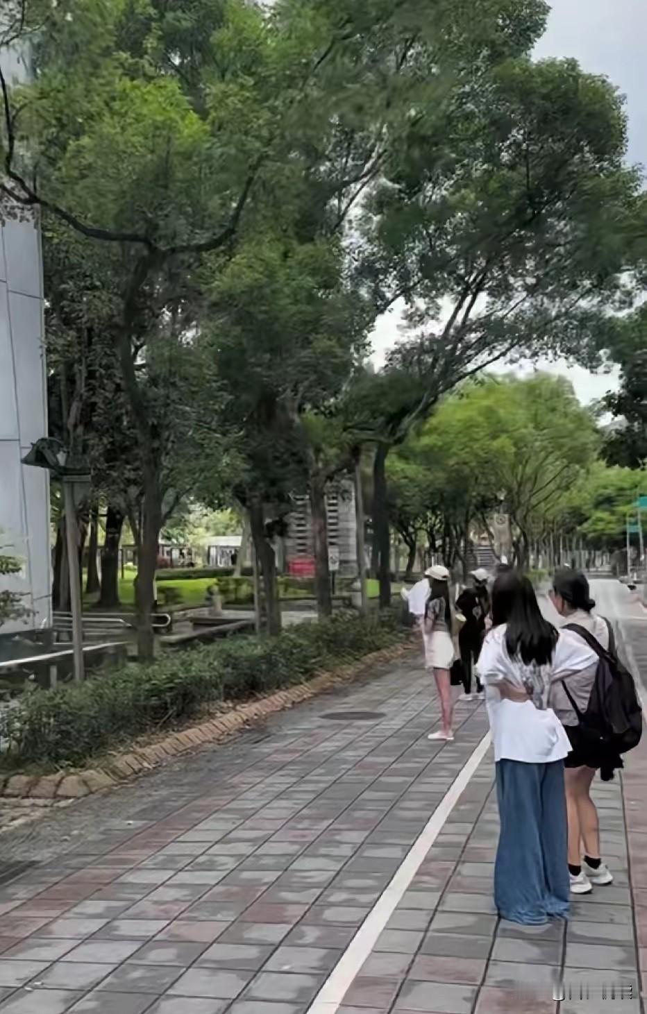 真是没想到这样的“母爱”不堪一击汪公子带着全家在母亲节这天齐聚湾湾战