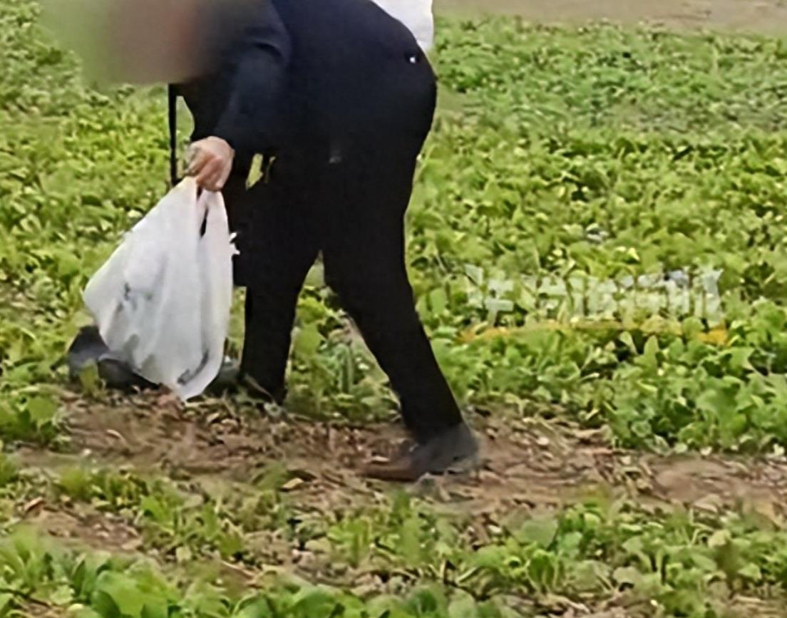 “活不起了！”12月7日，北京，一对退休夫妻溜进菜园，偷摘蔬菜，被圆主发现，面对