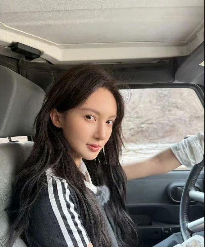 金晨助理算不算是“蠢人的灵机一动”？按金晨的回应来看，助理顶包、申请保险理