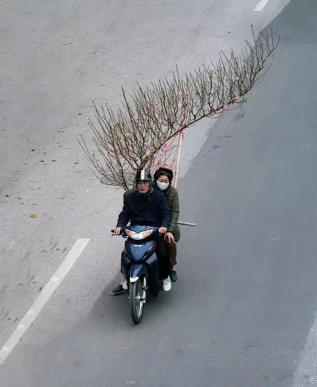 一个敢带，一个敢扛！别说，还挺好好看的！