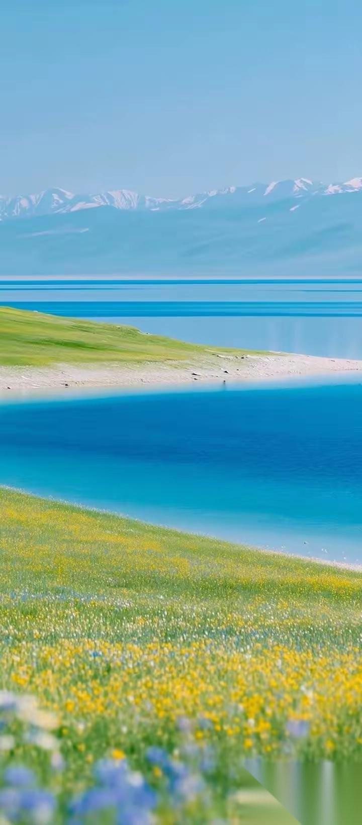 复旦大学教授陈果说：“无论我们活了多久，是70岁，还是80岁，或是90岁，其实，