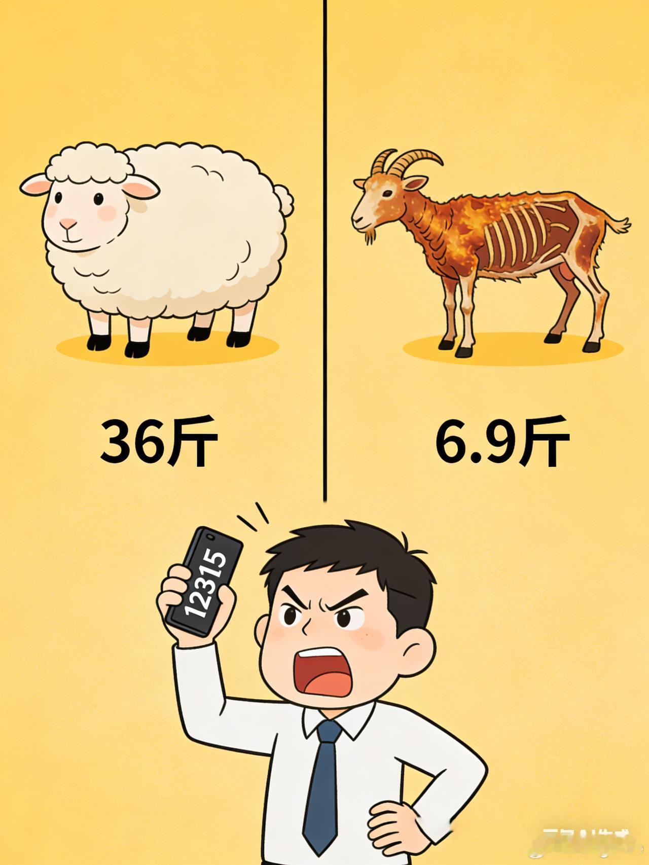 烤全羊“缩水”记：36斤活羊变6.9斤烤羊，商家“喂饱”羊只为虚增重量2月1