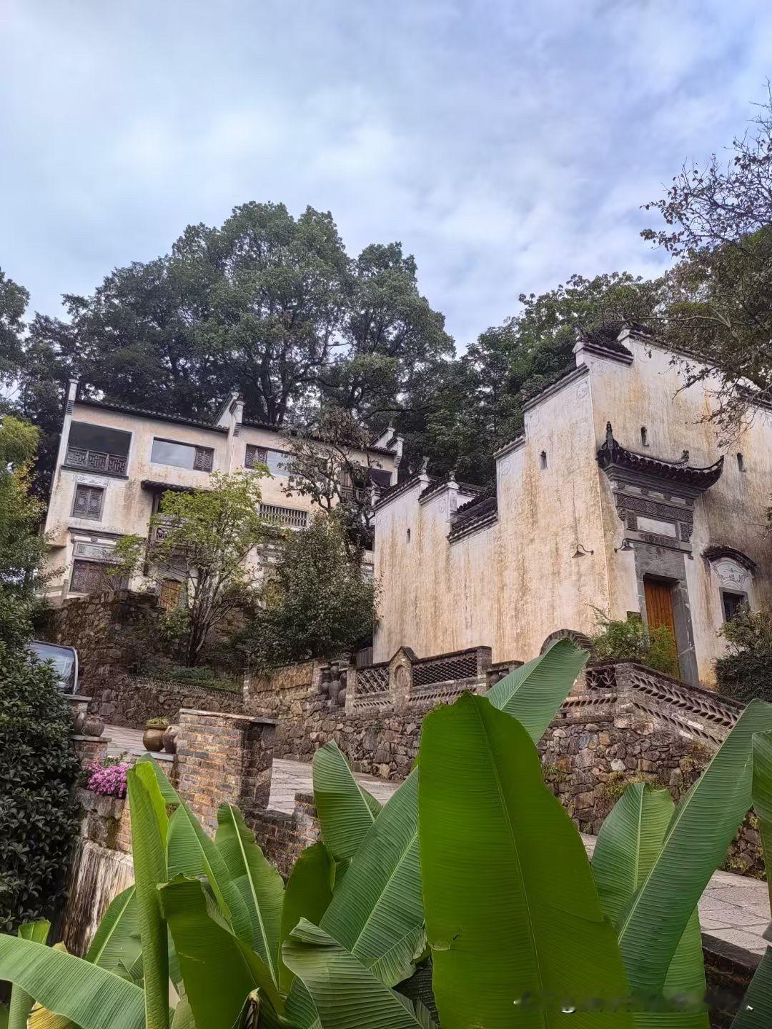 以前总信血浓于水，直到一场大病，才彻底撕开了亲情的遮羞布。我和兄弟姐妹都在一