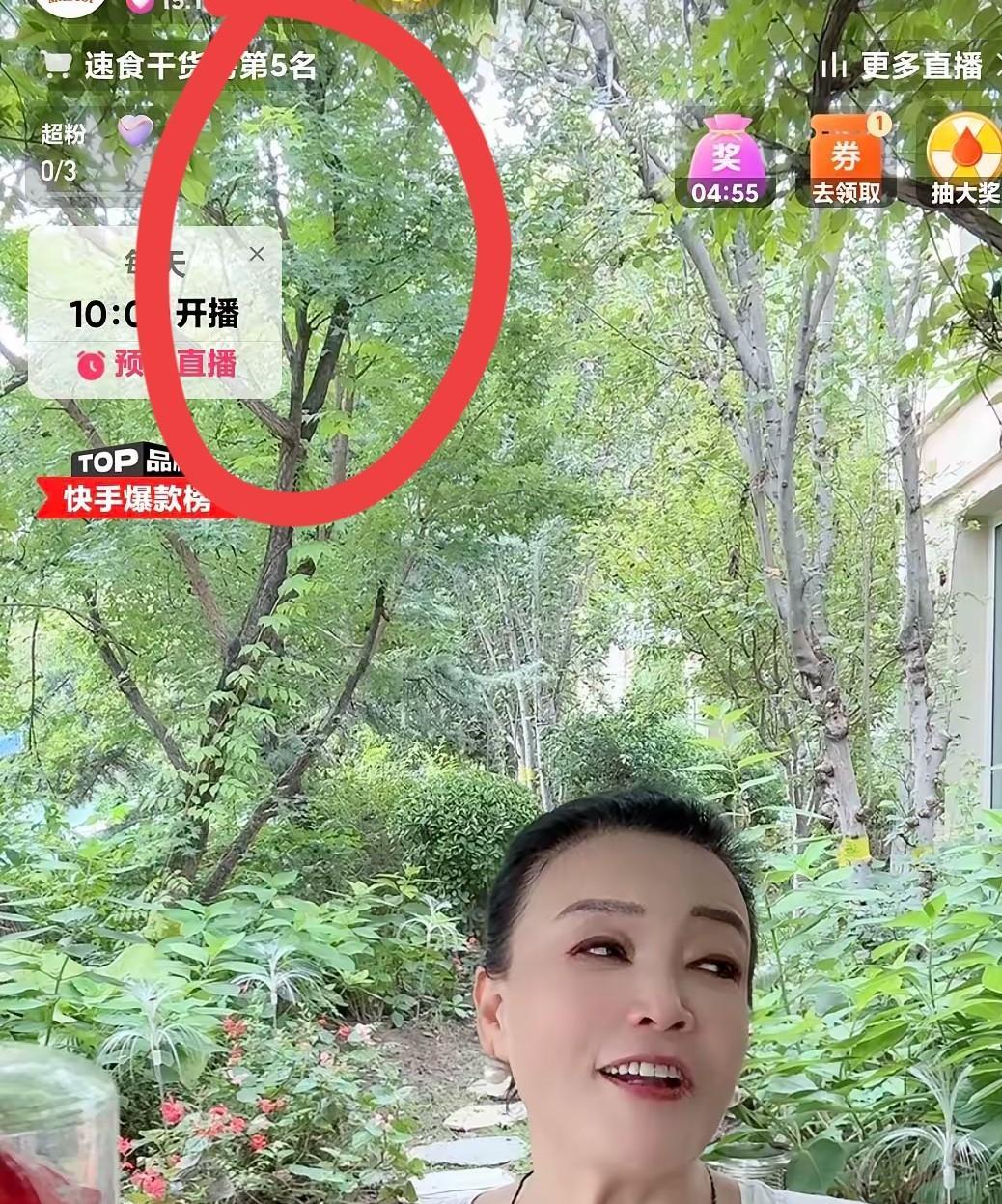 不服不行不管网上对张兰褒贬不一的评价如何！她的带货能力就是杠杠滴……自己一个