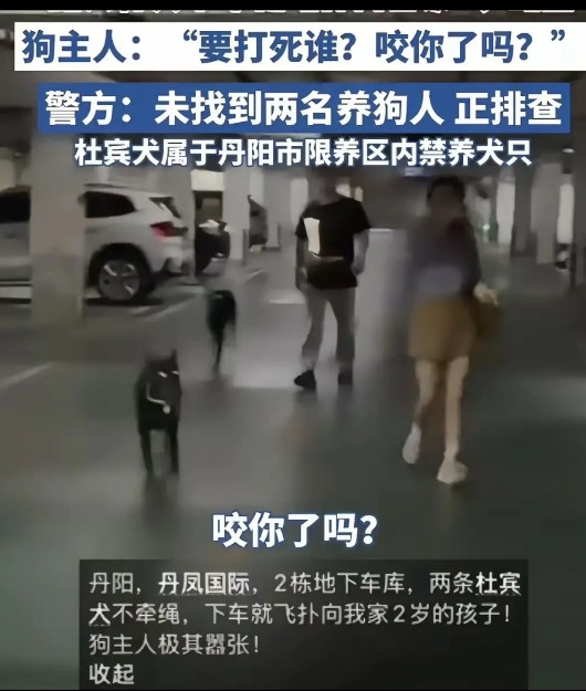 闹大了！就因为两个狗！江苏公安，镇江公安，丹阳公安抖音号，评论区里热闹了起来