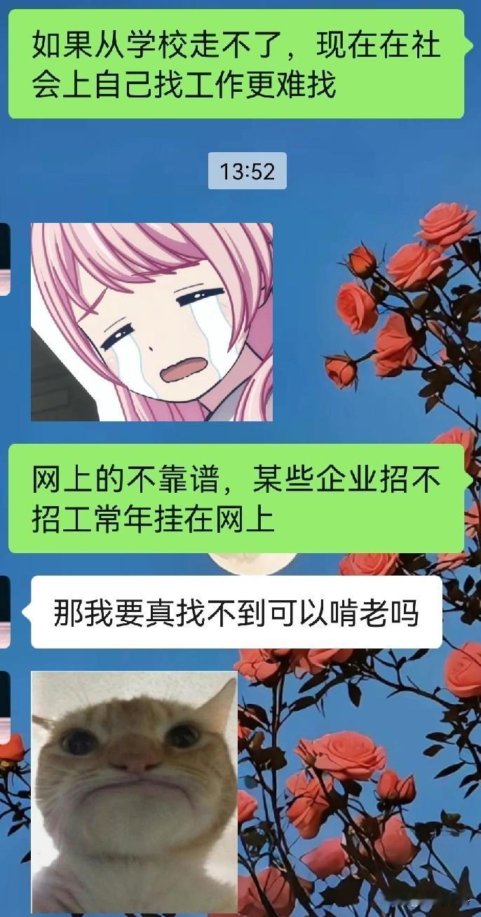 我儿子大四了，好日子过完了，开始焦头烂额找工作了。我就一个儿子，我希望