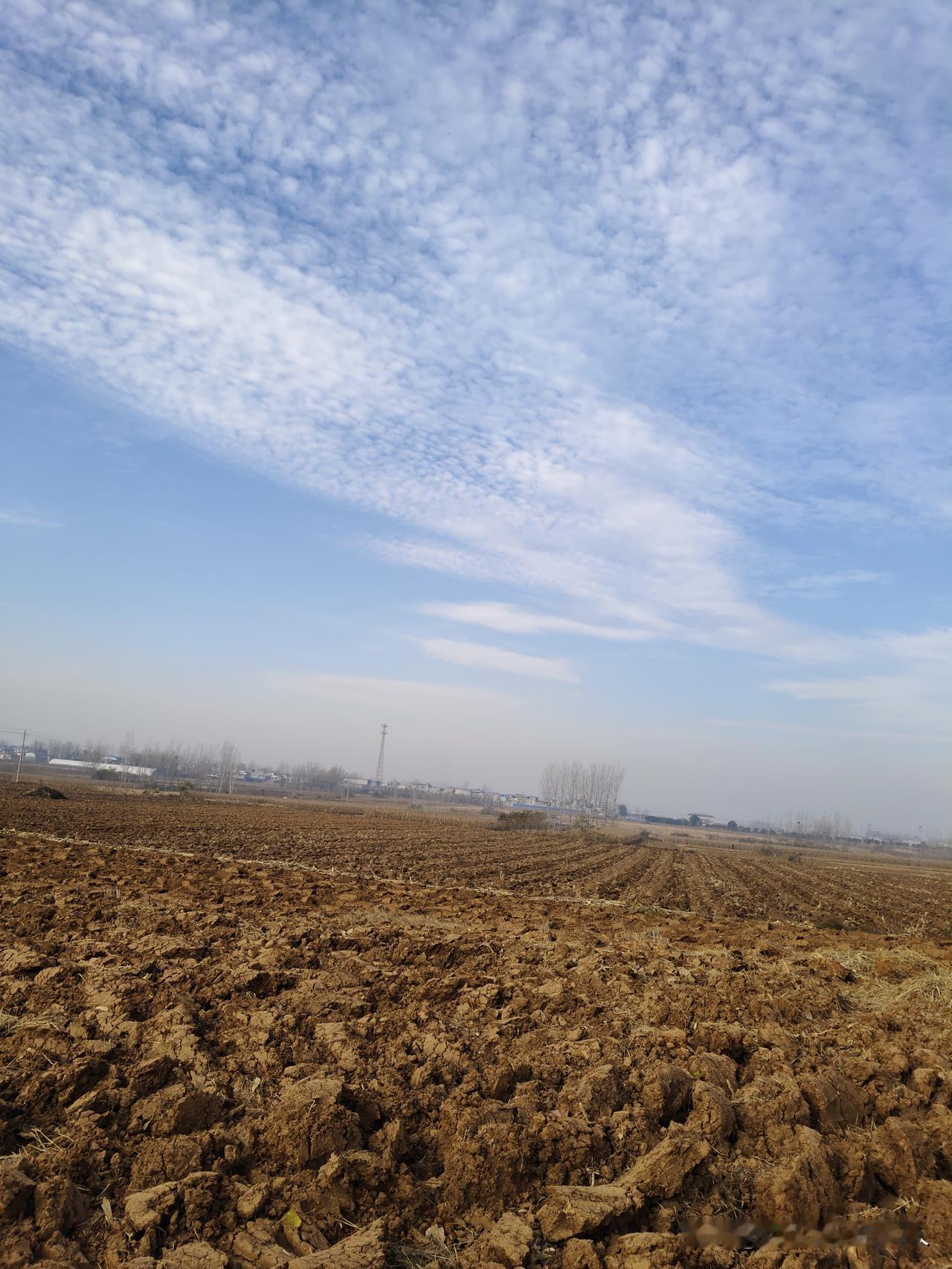 美不美你们说了不算~[大笑][比心][爱心]