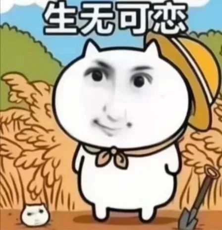 不好用的表情包我不发