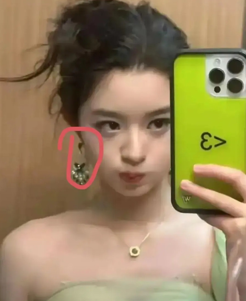 “天价耳环”事，连东方卫视都连续发出了5个疑问:1、耳环是不是230万，如果