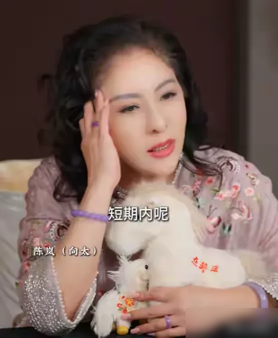 向太追着周星驰骂了这么多年，居然连一场官司都没打过。周星驰在永盛那几年，片酬从30万一路涨到1500