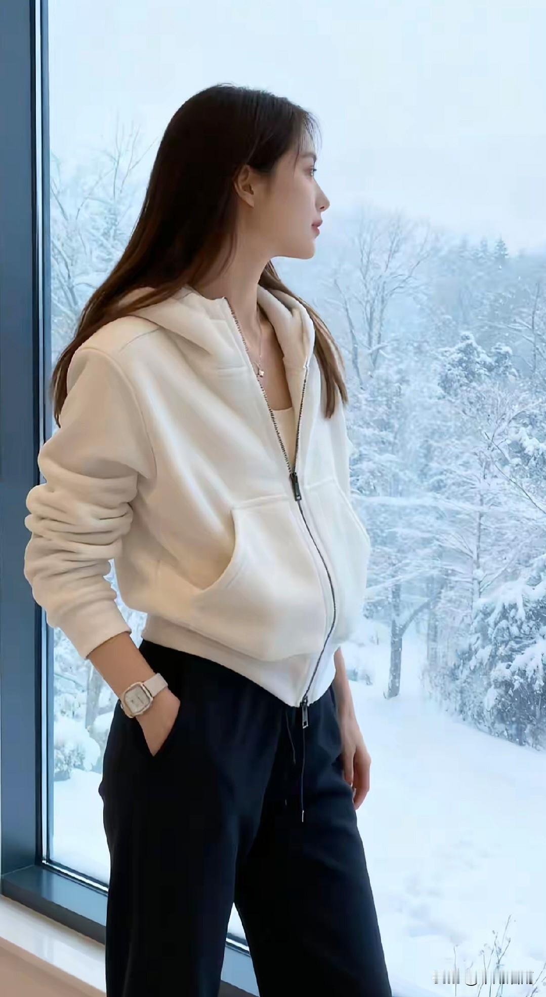 远近梅花信，高低柳絮风。--今日大雪！