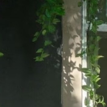 每日一善每日一善阳光信用熊猫守护者0000日积一善，久则必为江河之水；日积一恶，