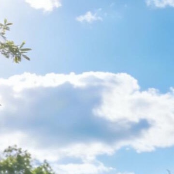 1200柚子的种植方法如下：一、选地与整地1.土壤选择：一般选择土层深厚、排水