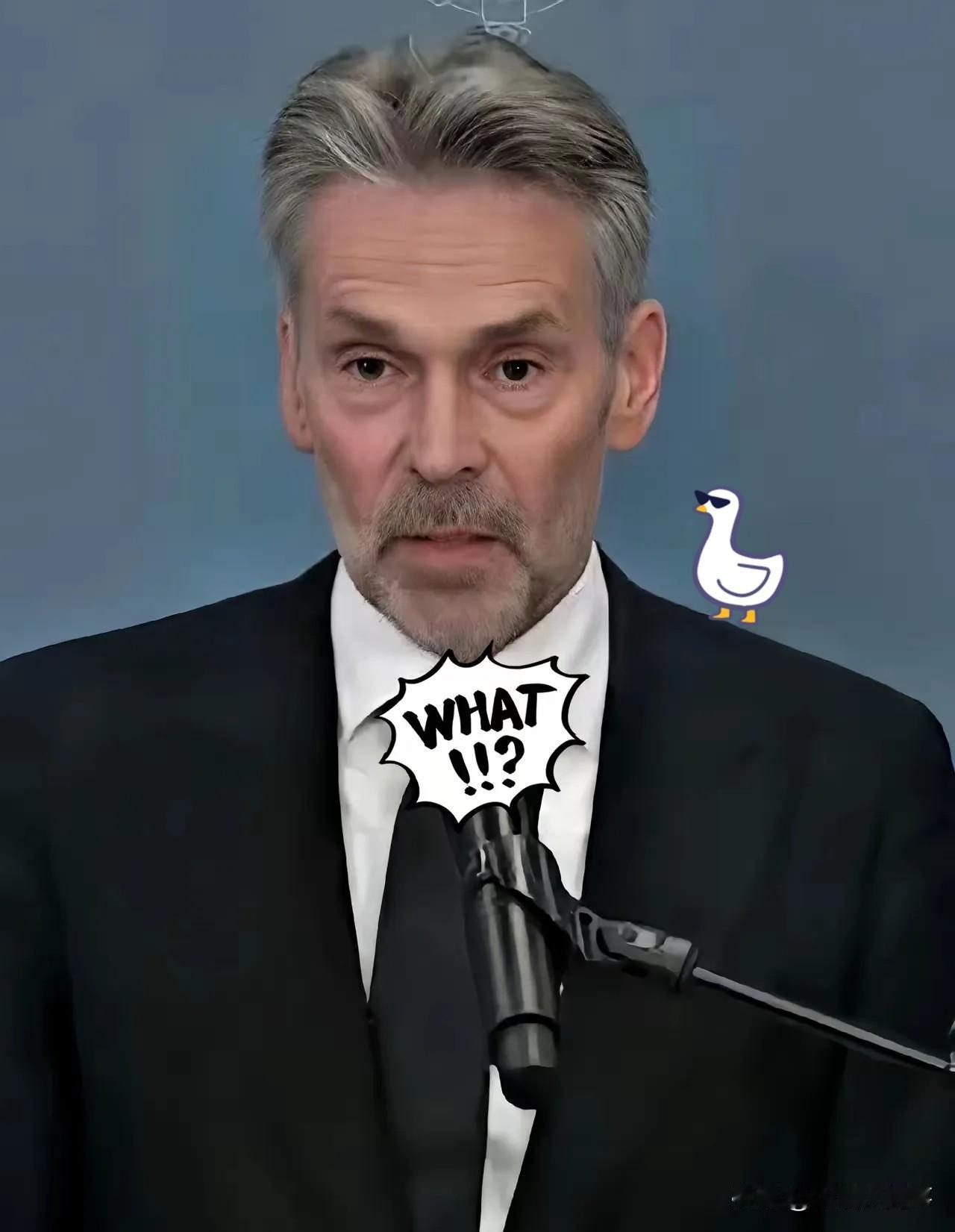 跨年大瓜！这大过年的，荷兰这是喝多了还是吃错药了？12月31号突然给安世半导