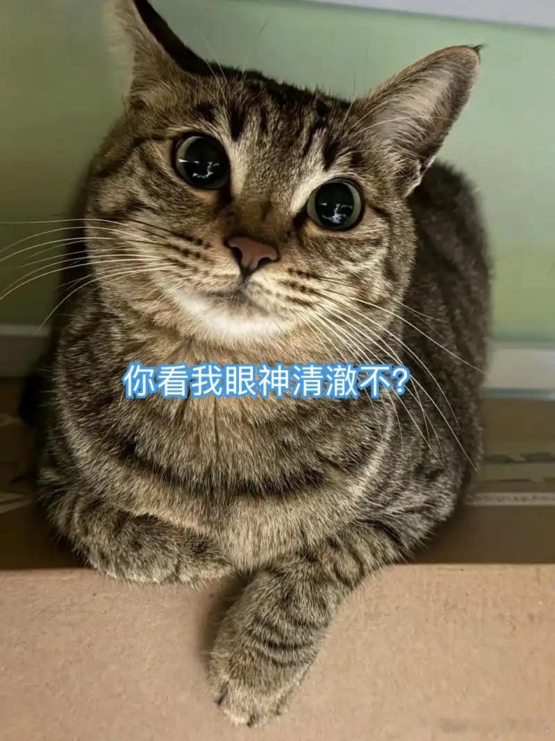 打孩子肯定是错的！但总有人抬杠，说有些孩子就是欠管教，三天不打上房揭瓦，吊起来狠