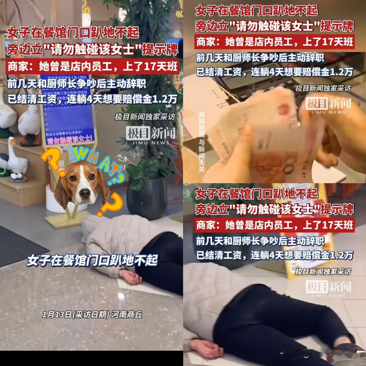 河南商丘一女子在餐馆工作17天，和厨师长吵完架主动辞职，工资都结清了，结果连续4