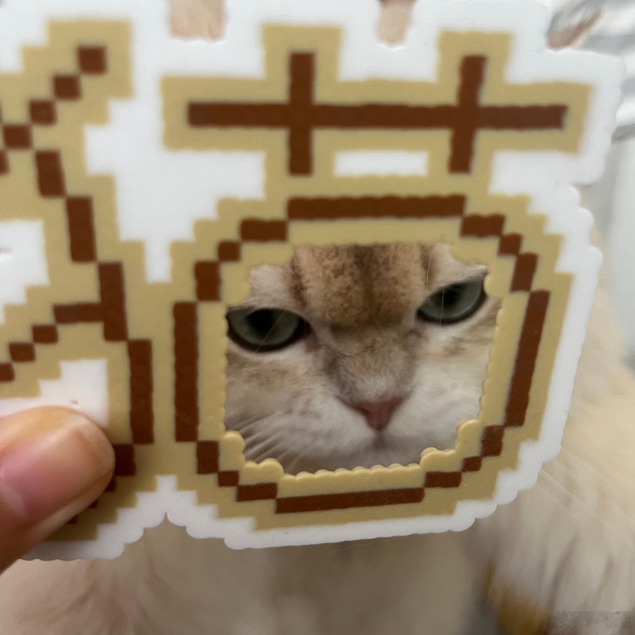 咪表示不开心营业