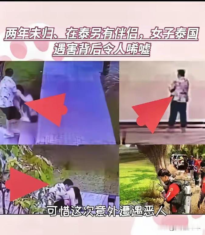 泰国这案子，想想都后背发凉，原本是老乡见老乡，没想到背后来一枪。赵天行，陕