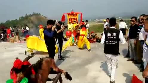 陆丰东海炎镜寨游神