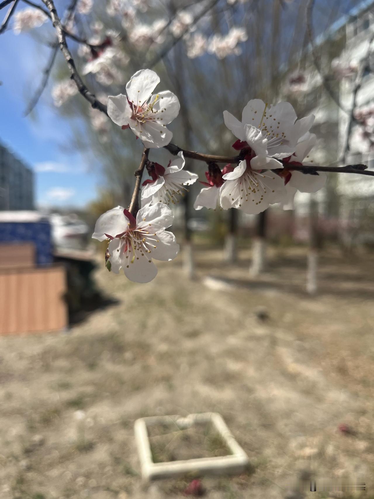孩子感冒反反复复发烧，最后还是没逃过打针。一天打5瓶，严重后，一天打6瓶。看着孩