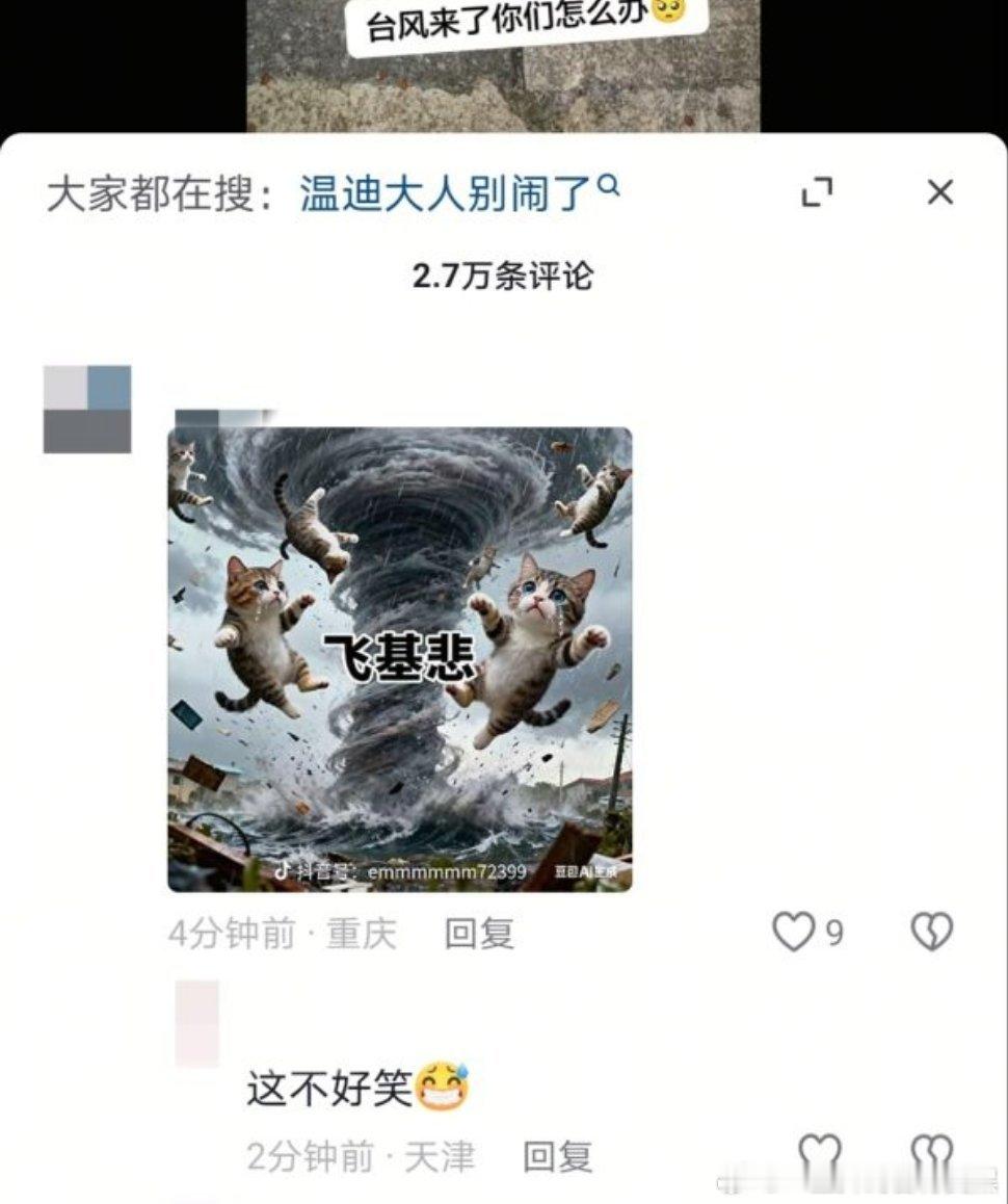 原视频是在问台风来了流浪猫该怎么办评论区大多数是在讨论同情心和实际行动之间的关