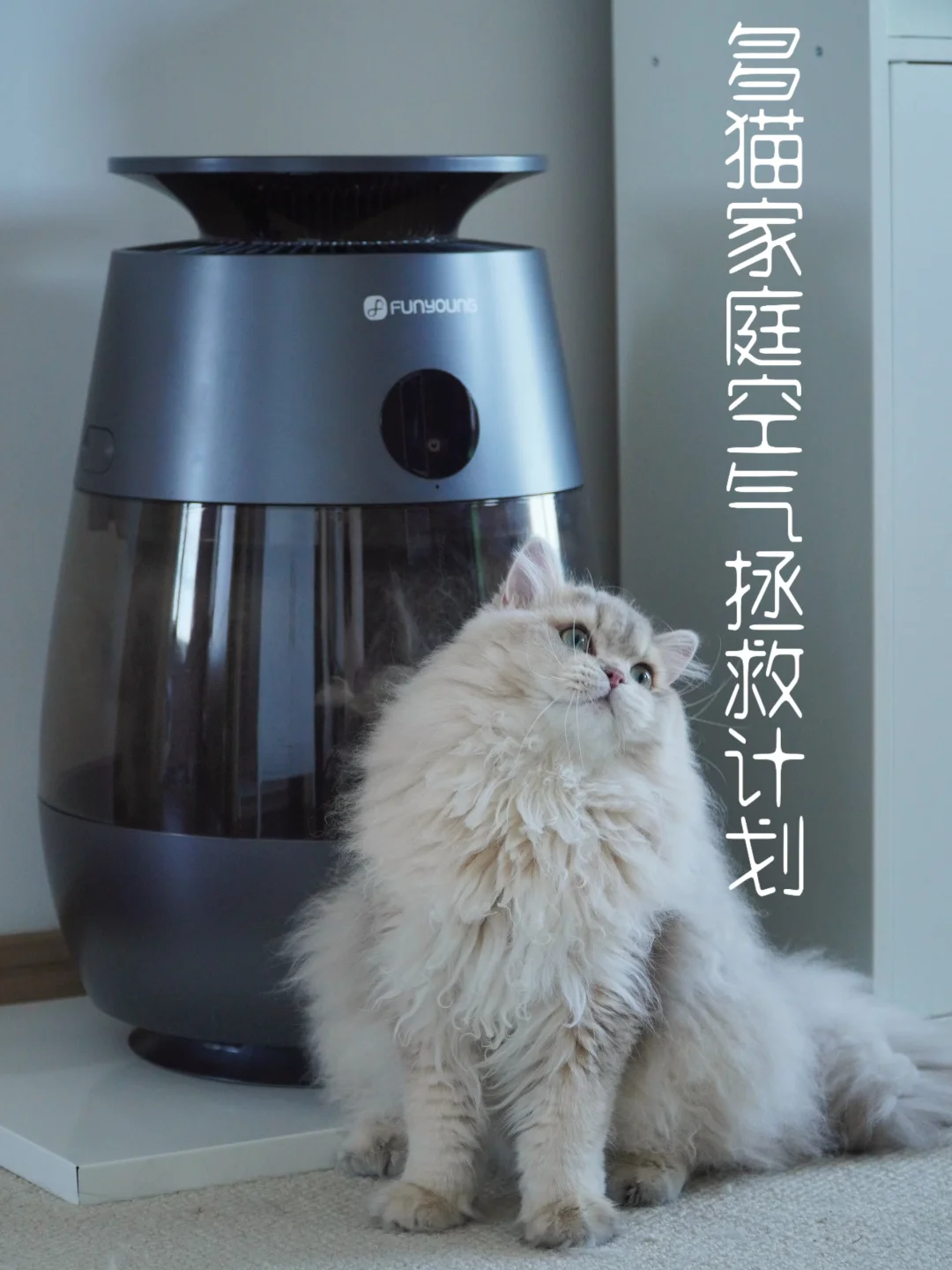 多猫家庭的 “浮毛克星”