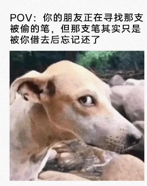 这个眼神有点小可怕