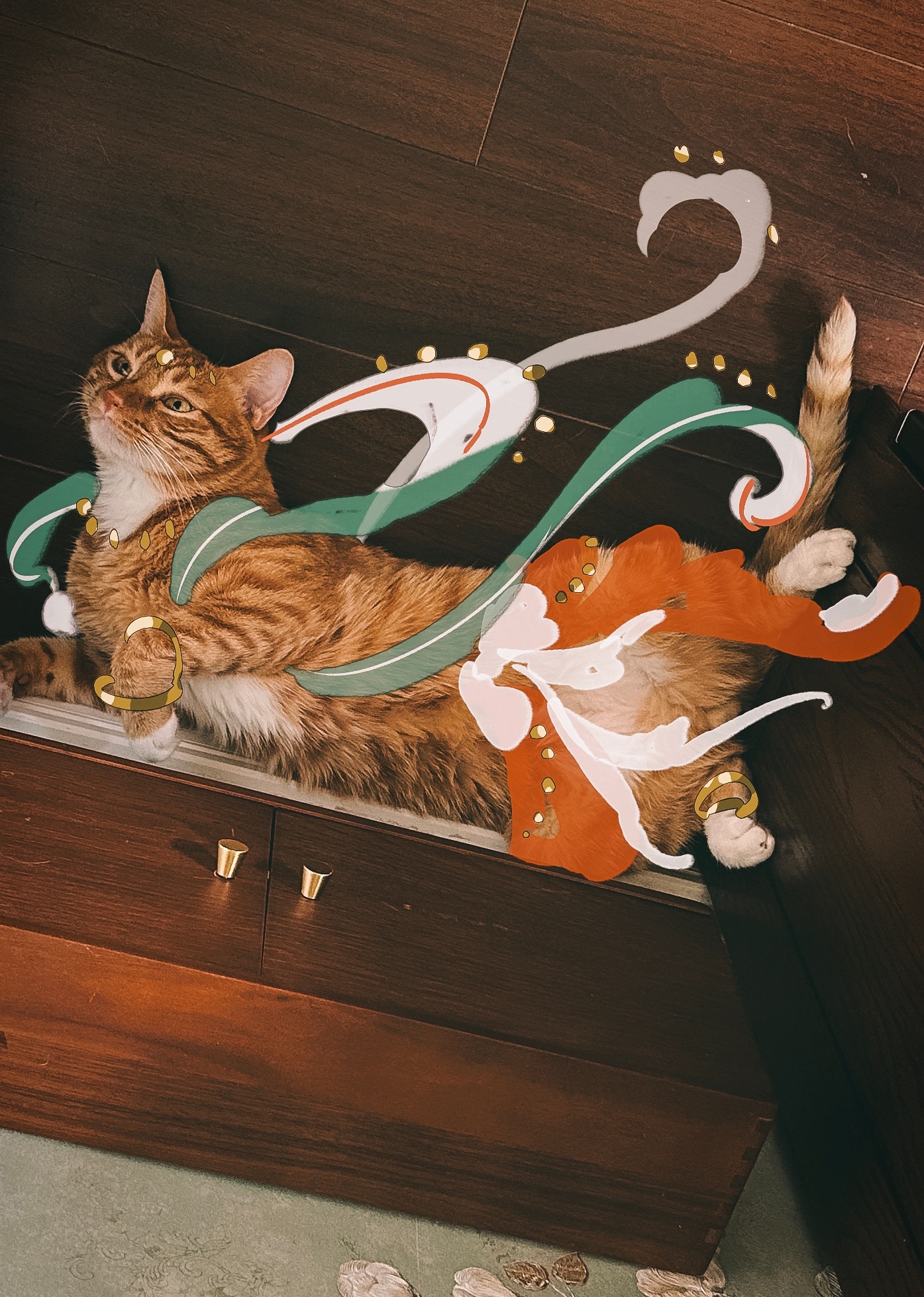猫咪：日常羡慕手艺人