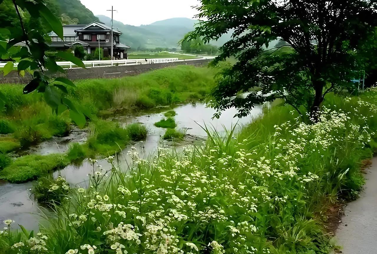 七律:夏日村居杂感日夜沉吟苦作词，劝君莫笑我成痴。偷来李白三分胆，借得东坡半