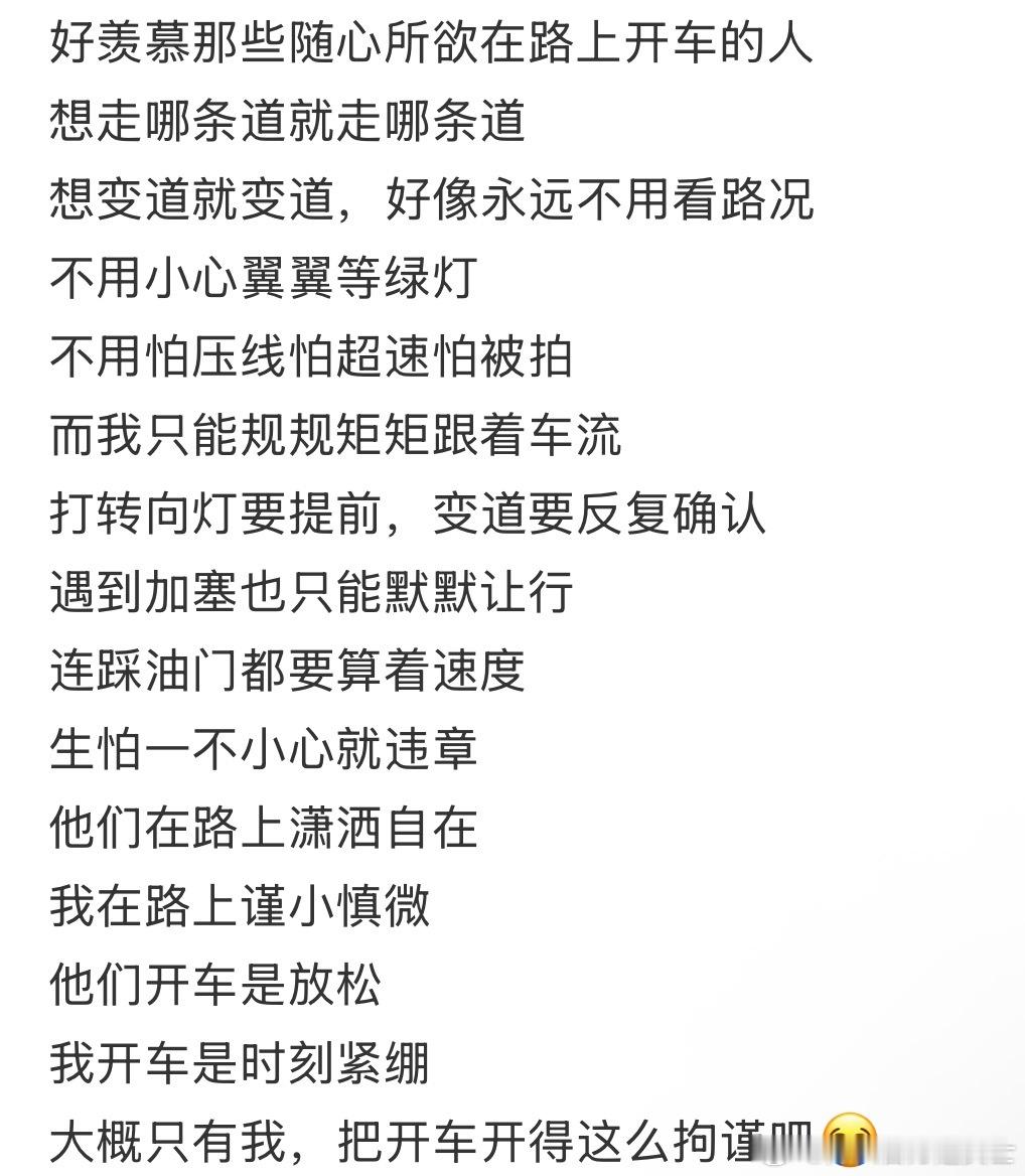 好羡慕随心所欲在路上开车的人