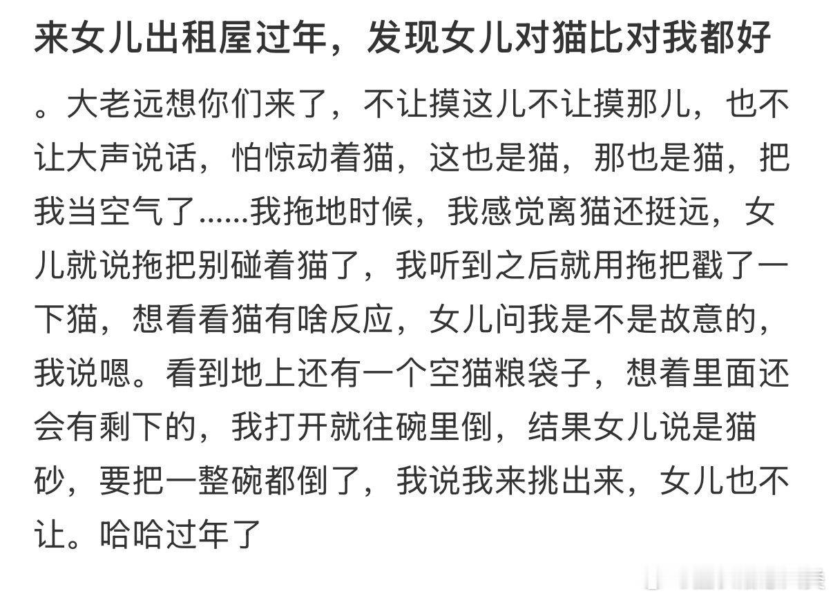 来女儿出租屋过年，发现女儿对猫比对我都好