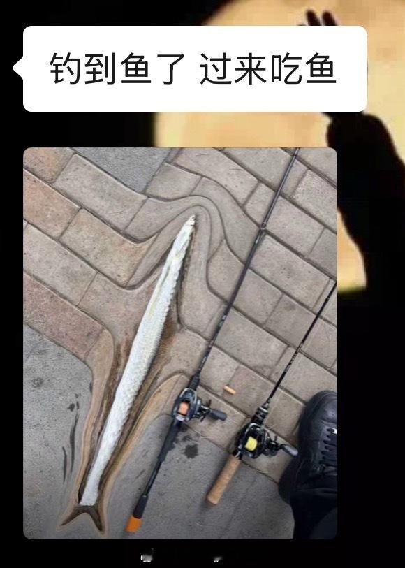 说个笑话…​​​