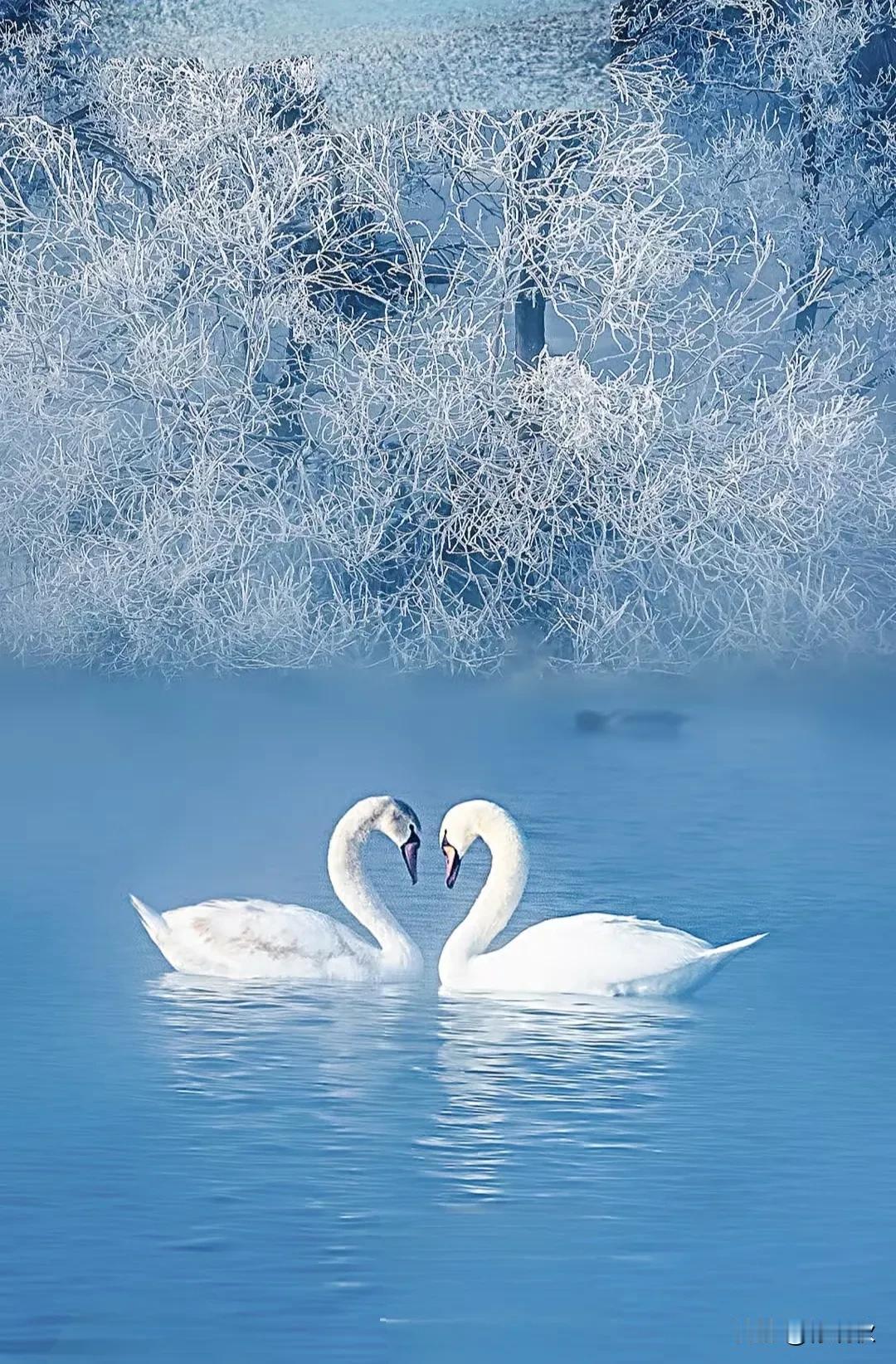 人到了晚年，不论是谁都会出现只剩一个人的情况。这种情况是避免不了的，也是人生的必